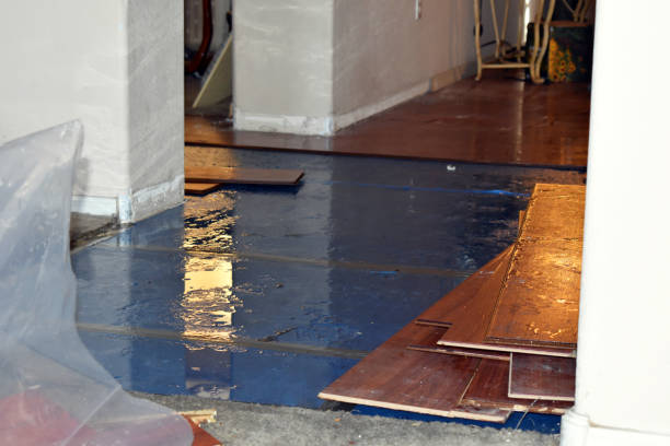 Professional Water Damage Restoration technician working in Lyons, WI